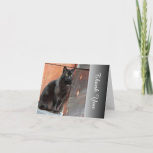 Grateful Black Cat Merci carte de note