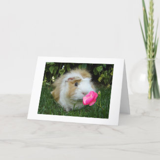 GRATEFUL GERBIL GLÜCKLICH IST ES "DEIN" GEBURTSTAG KARTE