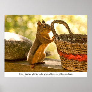 Gratitude Squirrel Poster