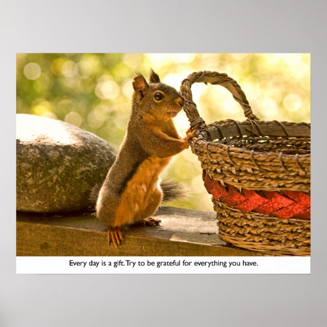 Gratitude Squirrel Poster (Vorne)