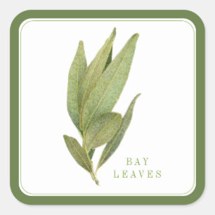GRATUIT BAY FEUILLE Grand Carré Stickers - Vert