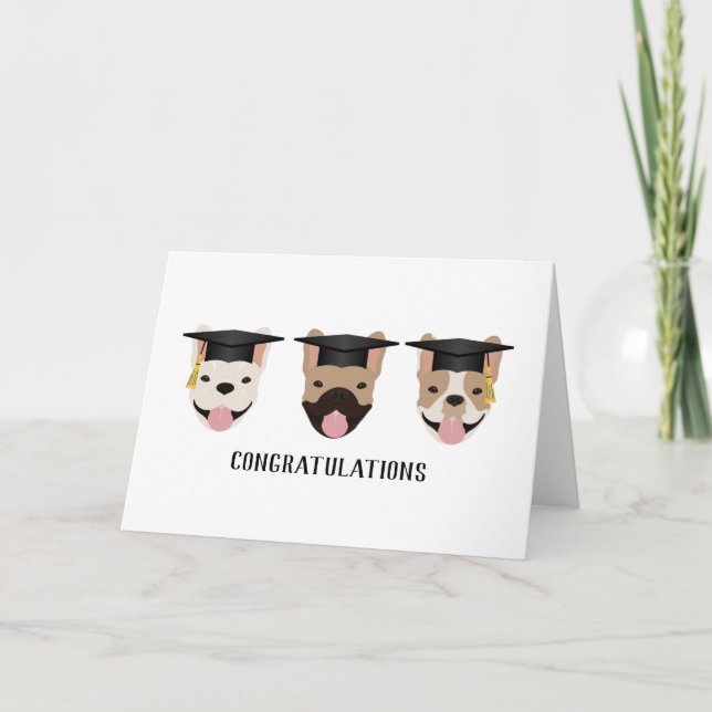 Gratulation an French Bulldogs Karte (Vorderseite)