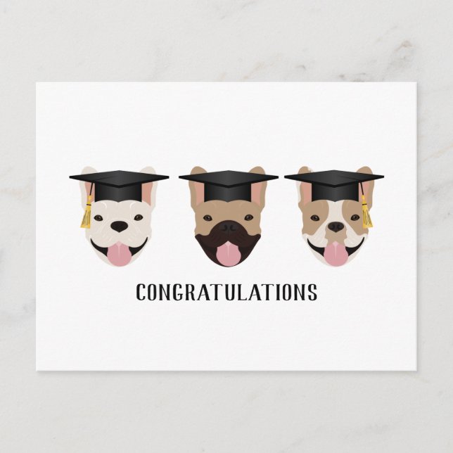 Gratulation an French Bulldogs Postkarte (Vorderseite)