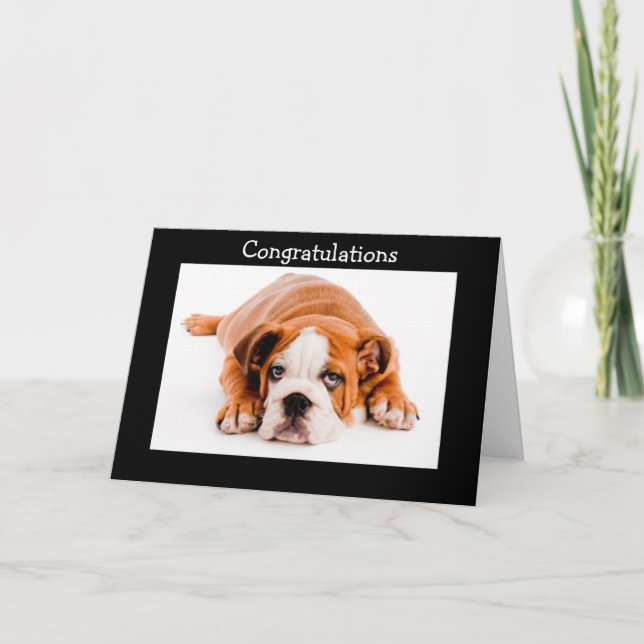 Gratulation Bulldog Grußkarte Karte (Vorderseite)