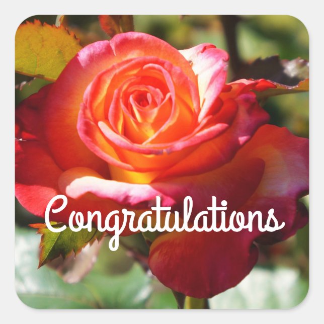 Gratulation Dream Come True Rose #2 Aufkleber (Vorderseite)