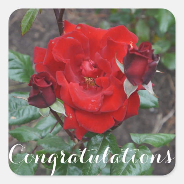 Gratulationen Crimson Bouquet #1 Stickers (Vorderseite)
