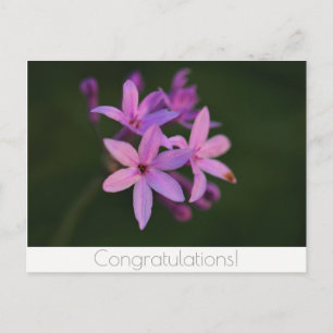 Gratulations Blumen Postkarte