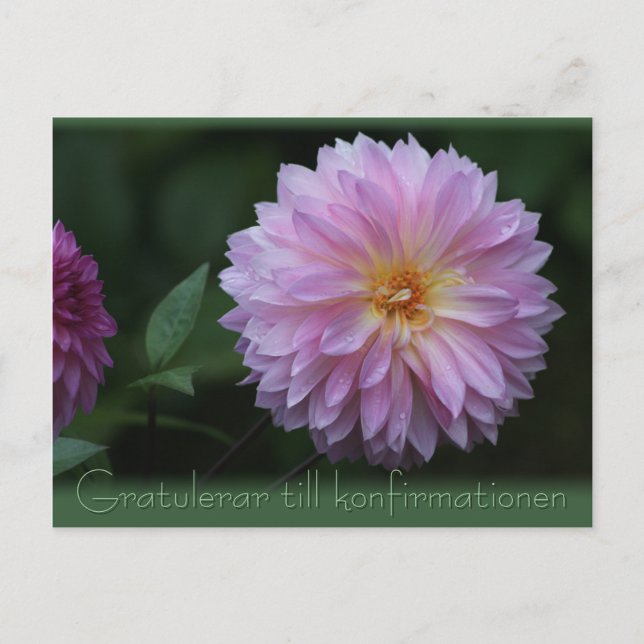 Gratulerar bis konfirmationen CC0503 Postkarte (Vorderseite)