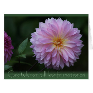 Gratulerar bis konfirmationen CC0504 Big