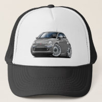 Grau-Auto Fiats 500