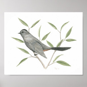 Grau Catbird Fine Art Print Poster