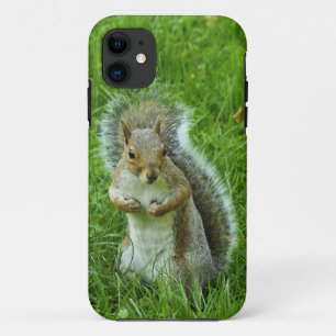 Grau Eichhörnchen, Bute Park, Cardiff Case-Mate iPhone Hülle