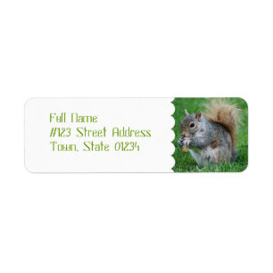 Grau-Eichhörnchen-Mailing-Labels