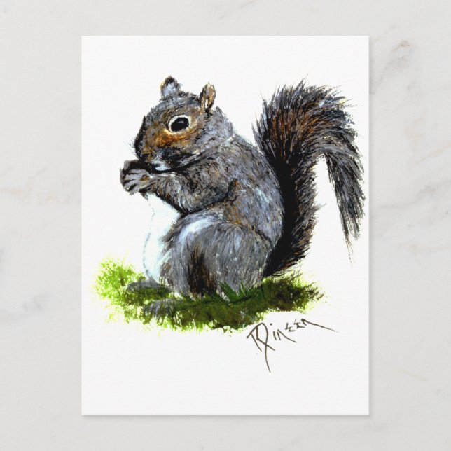 Grau-Eichhörnchen-Postkarte Postkarte (Vorderseite)