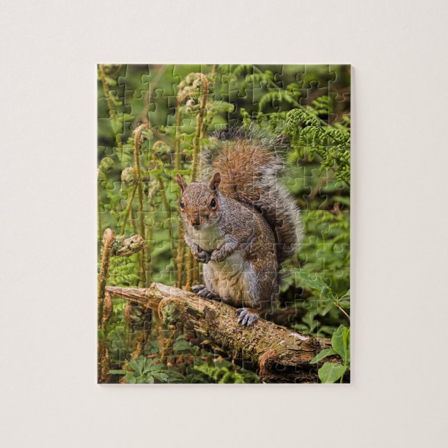 Grau-Eichhörnchen-Puzzle/Jigsaw mit Zinn (Vertikal)