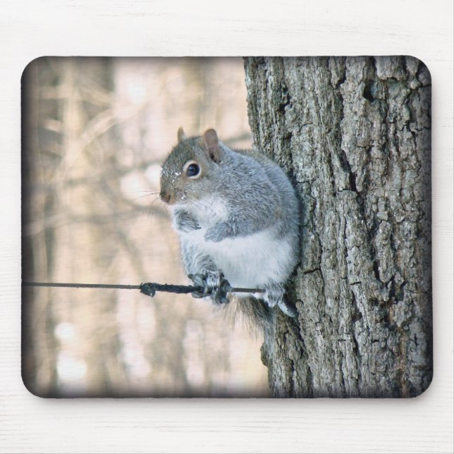 Grau-Eichhörnchen - Sciurus carolinensis Mousepad (Vorne)