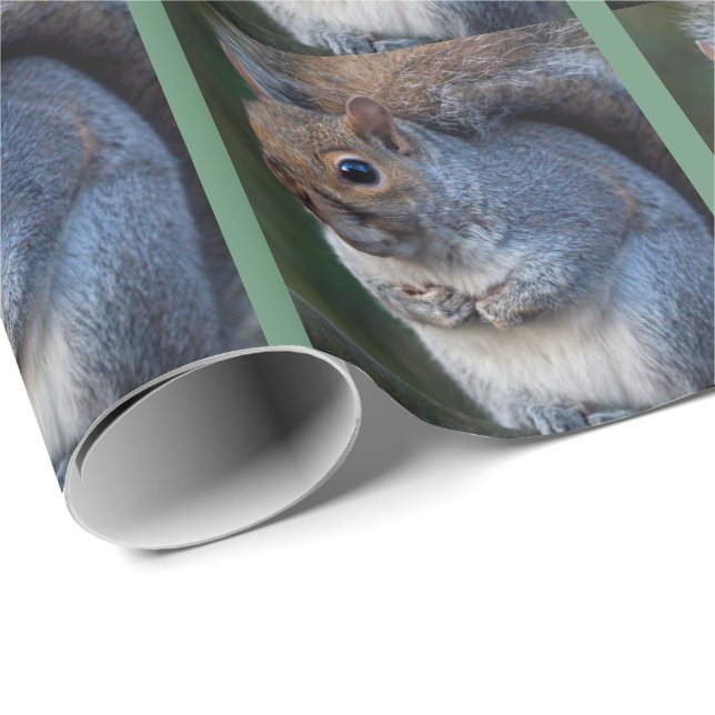 Grau-Eichhörnchen-Wrapping Paper Geschenkpapier (Rolleneckpunkt)