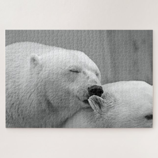 Grau-Eisbären-Foto (Horizontal)