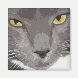 Grau-Katzengesicht Magnet