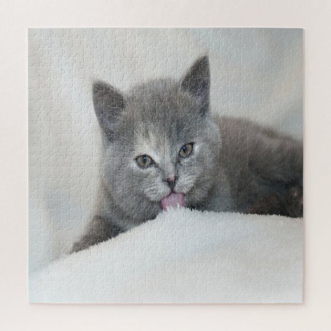 Grau Kitten Licking Snow (Vertikal)