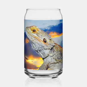 Grau Lizard bei Sonnenuntergang Dosenglas