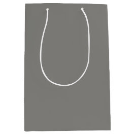 Grau Mittlere Geschenktüte