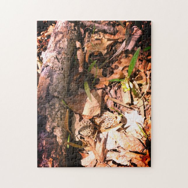 Grau-Morel-Patch (Vertikal)