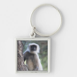 Grau oder Common oder Hanuman Langur Schlüsselanhänger