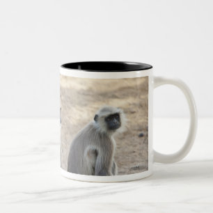 Grau oder Common oder Hanuman Langur Zweifarbige Tasse