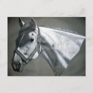Grau on Gray Equine Art Postkarte