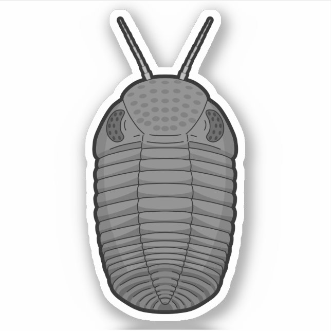 Grau Phacops Trilobit - prähistorisches TierVinyl Aufkleber (Vorderseite)