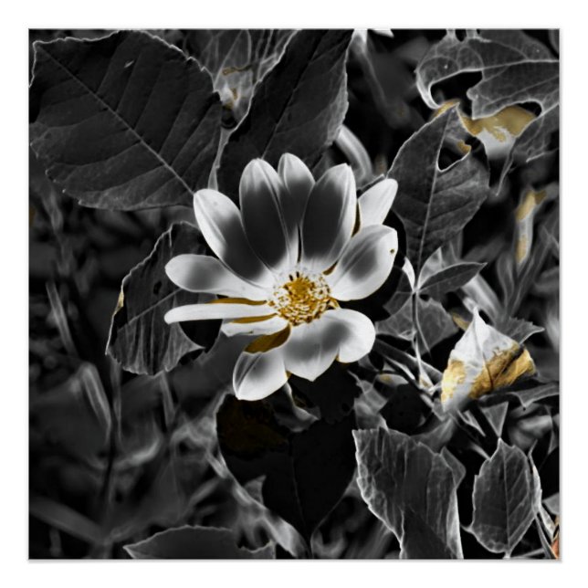 Grau Poster (Vorderseite)