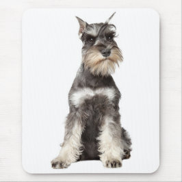 Grau Schnauzer Welpe Hund Mousepad