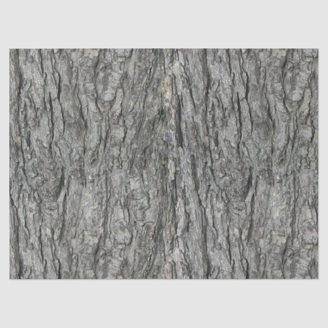 Grau Tones Rustic Wood Bark Print Seidenpapier (Vorderseite)