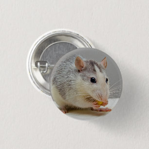 Grau und Weiße Ratte Button