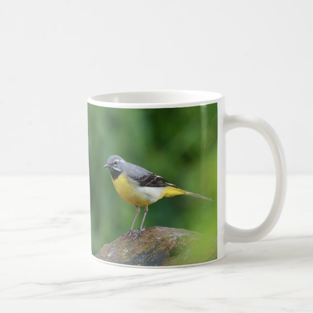 Grau Wagtail - Vogel Kaffeetasse (Rechts)