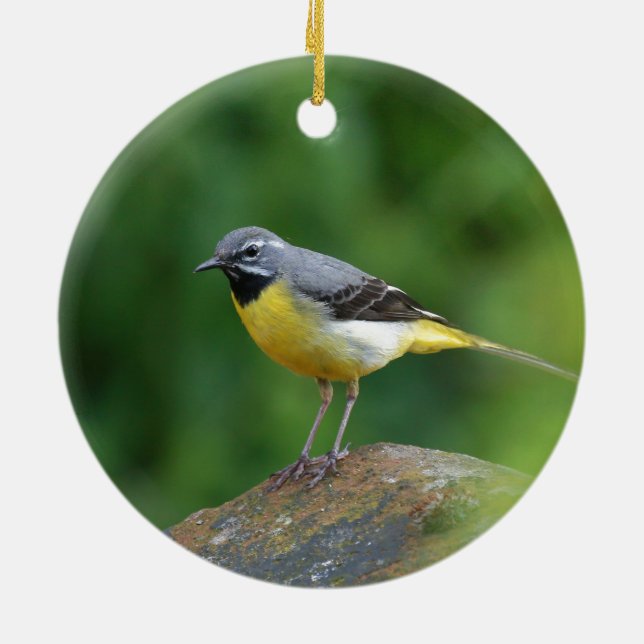 Grau Wagtail - Vogel Keramikornament (Hinten)