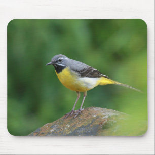 Grau Wagtail - Vogel Mousepad