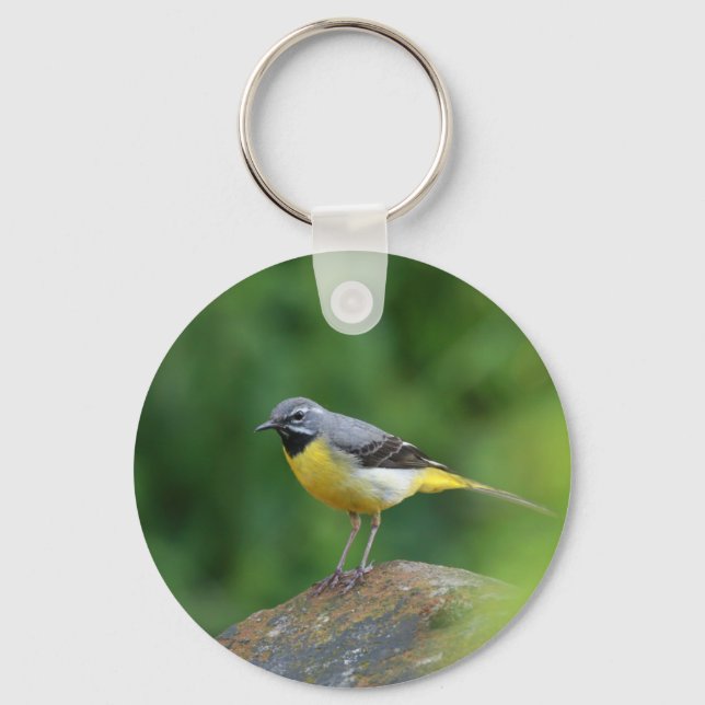 Grau Wagtail - Vogel Schlüsselanhänger (Vorderseite)