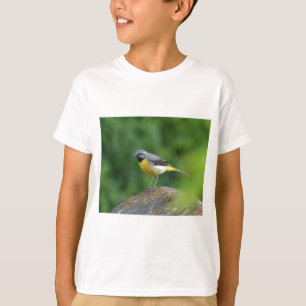Grau Wagtail - Vogel T-Shirt