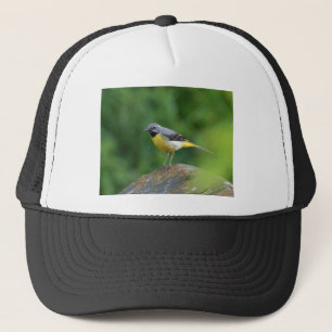 Grau Wagtail - Vogel Truckerkappe