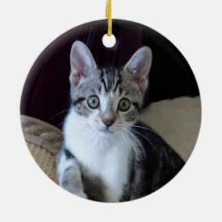 Grau/weiße Tabby-Katzen-Ornament Keramik Ornament
