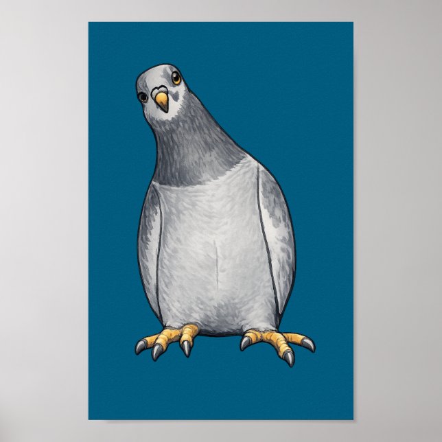 Grau weiße Tauben - Türkises Poster (Vorne)