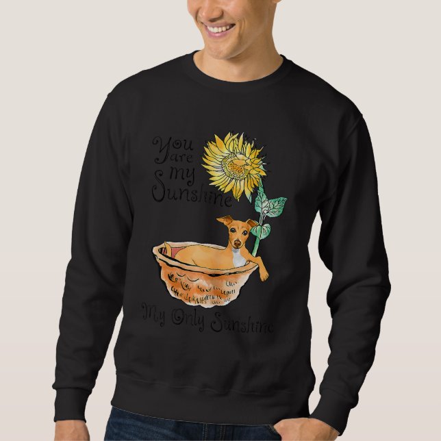 Graubäder in einer Tube mit Sonnenblumen Sweatshirt (Vorderseite)