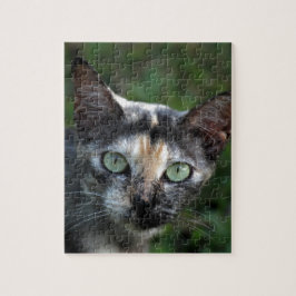 Graubraun-weiße Katze mit grünen Augen