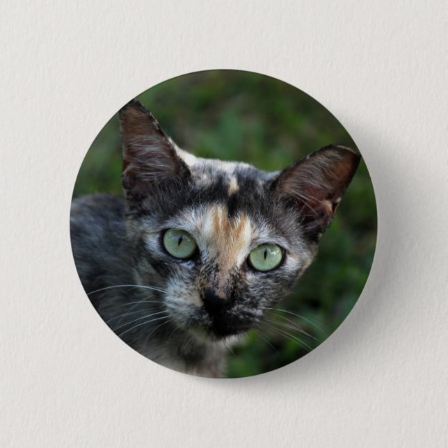 Graubraun-weiße Katze mit grünen Augen Button (Vorderseite)