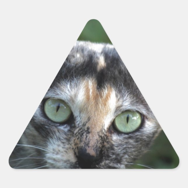 Graubraun-weiße Katze mit grünen Augen Dreieckiger Aufkleber (Vorderseite)