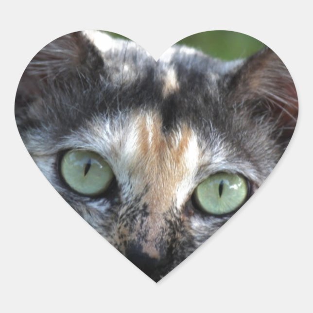 Graubraun-weiße Katze mit grünen Augen Herz-Aufkleber (Vorderseite)