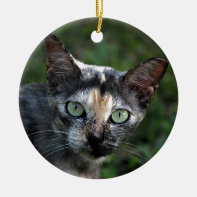 Graubraun-weiße Katze mit grünen Augen Keramik Ornament (Vorne)