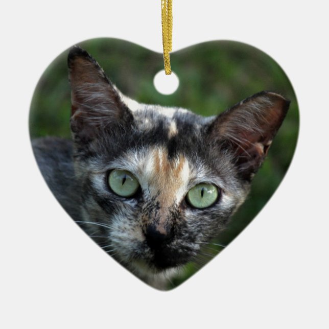 Graubraun-weiße Katze mit grünen Augen Keramikornament (Vorne)